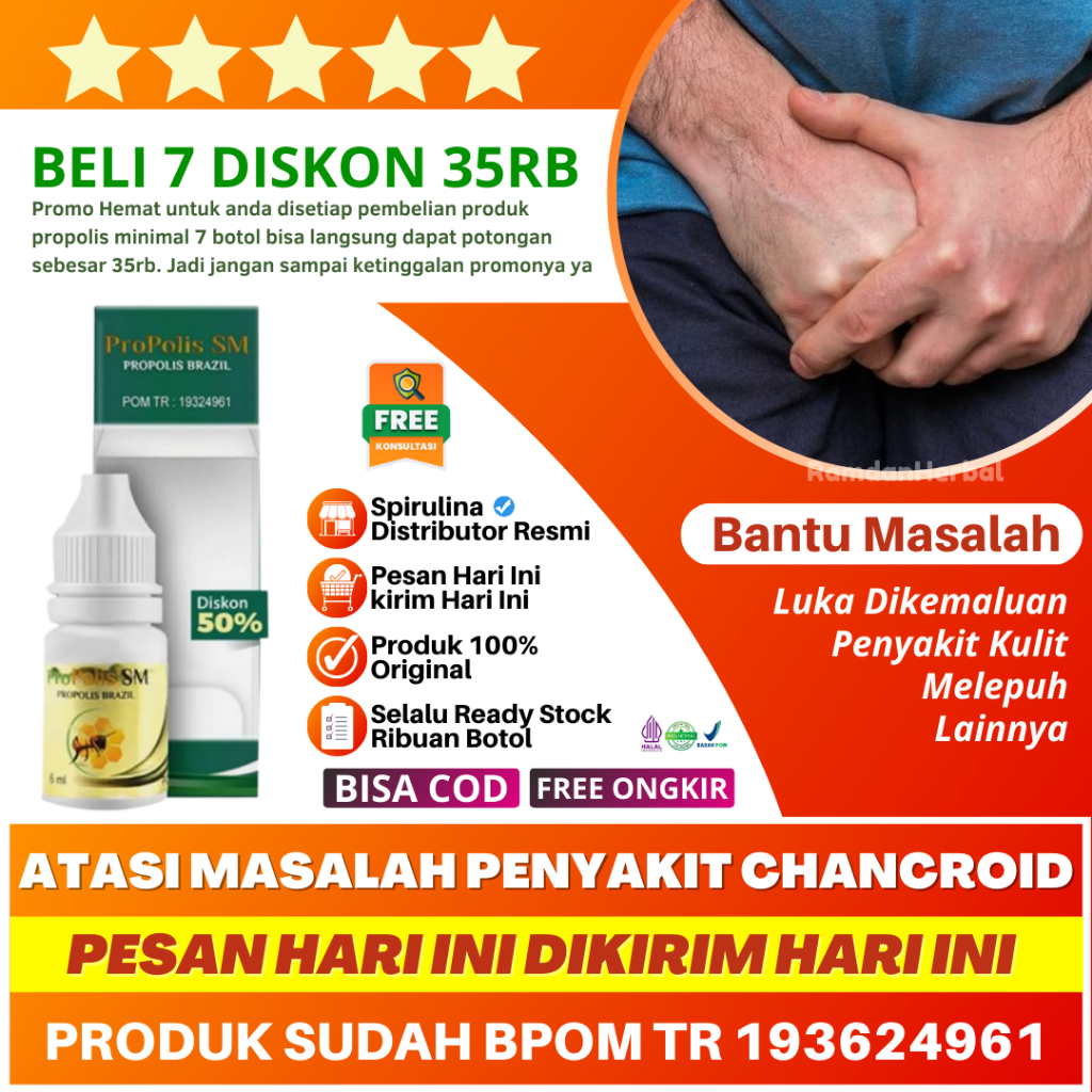 Obat Chancroid Luka Di Alat Kelamin Area Genital Luka Terbuka Pria Wanita Infeksi Bakteri Propolis S