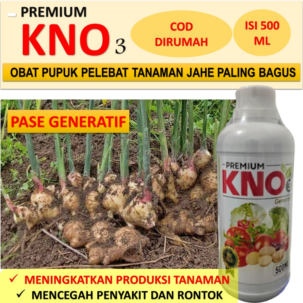 Pupuk Jahe Murah PREMIUM KNO3 Obat Jahe Biar Subur dan Banyak - Pupuk Semprot Cair Sayuran Jahe Hasi
