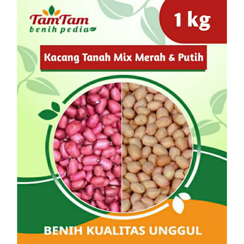 BENIH KACANG TANAH HIBRIDA SUPER/Merah Putih 1Kg