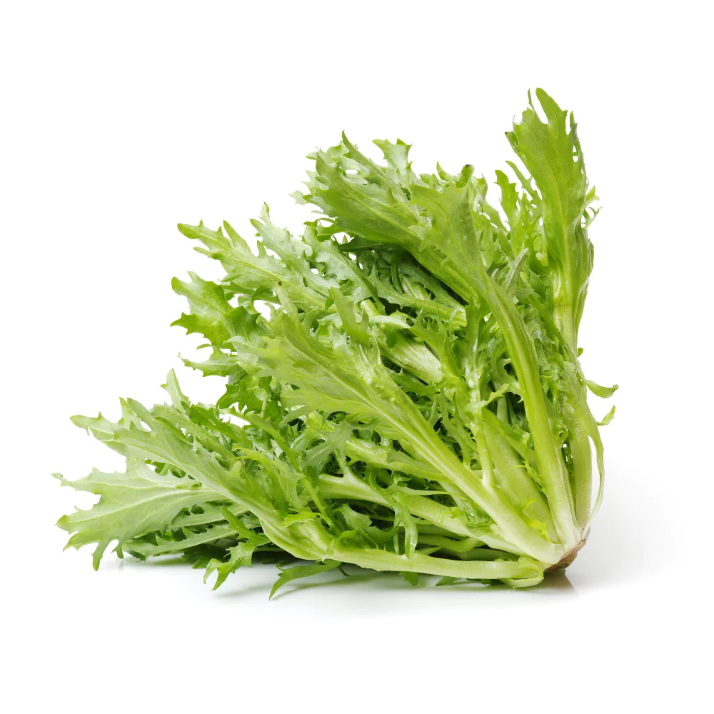 

Lettuce Endive/Frisee Lettuce/Selada Endive berat 200 gr