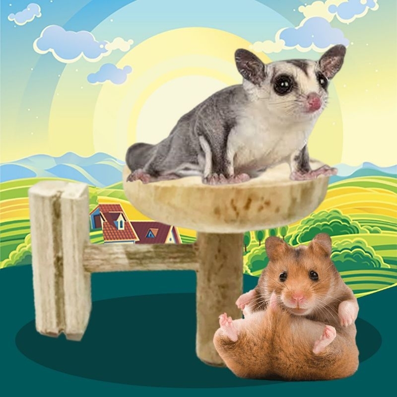 TANGKRINGAN - Tempat Snack Hamster Mainan Hamster Tempat Makan Hamster Tempat Tidur Hamster