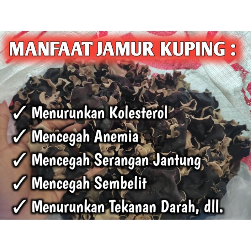 Jamur Kuping Kering Hitam Grade A Super Kiloan