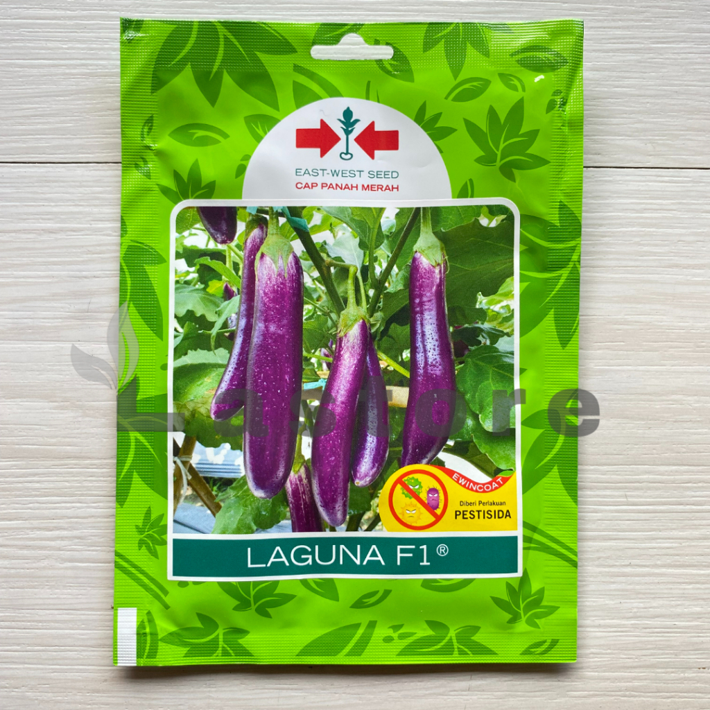 BENIH BIBIT TERONG UNGU LAGUNA F1 CAP PANAH MERAH
