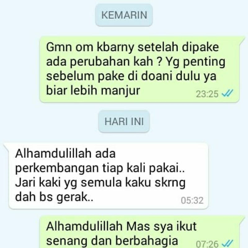 Ramuan Dayak Herbal 100%