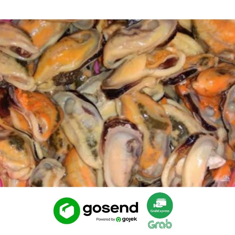 KERANG KUPAS BESAR SEGAR (250 GRAM)