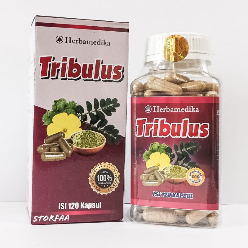 Kapsul-Tribulus 120 Kapsul Herbamedika