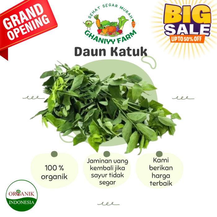 

Daun Katuk Organik 200Gram