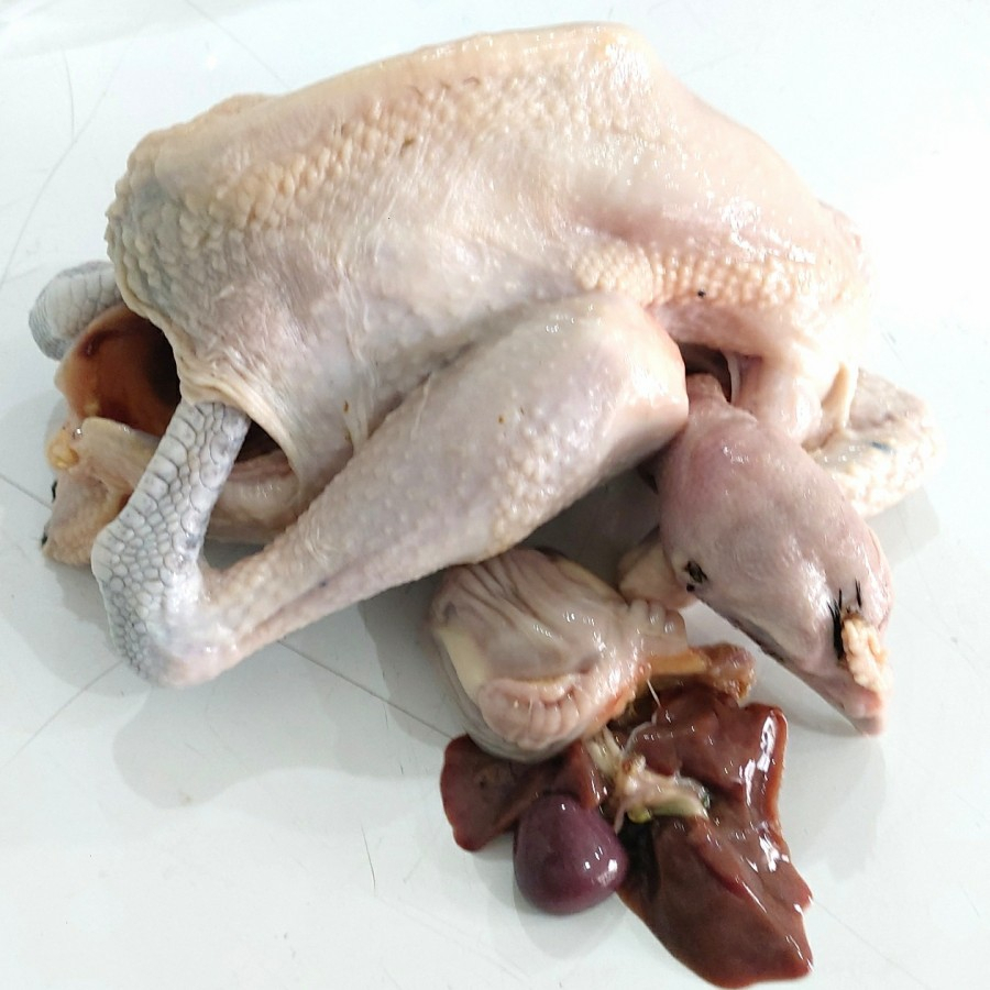 

Ayam Kampung Sedang 7ons - 8ons