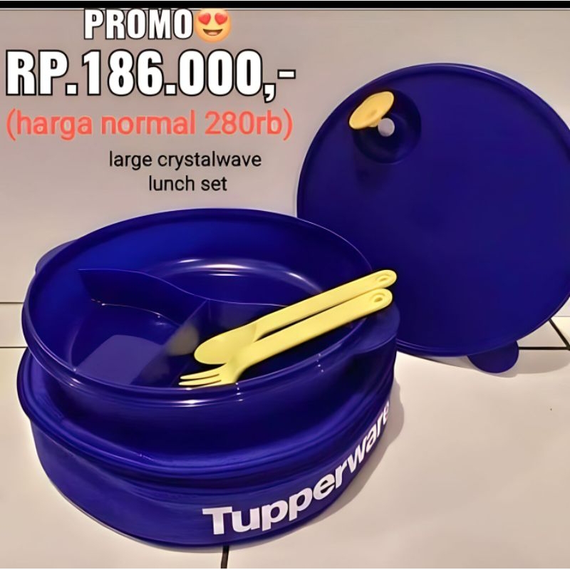 Large Crystalwave Lunch Set Tupperware