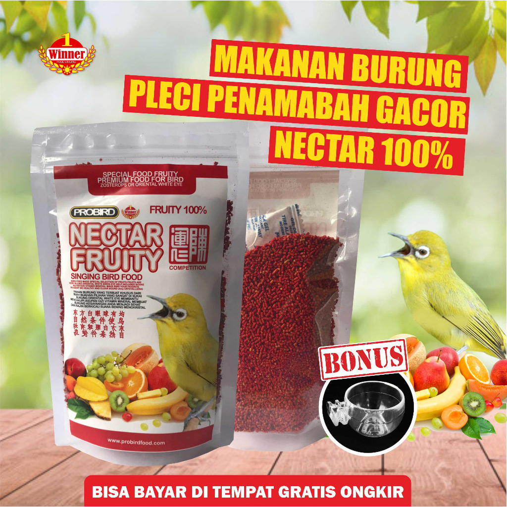 VOER PLECI PROBIRD NECTAR 100% BIKIN CEPAT GACOR PLECI HARIAN DAN LOMBA