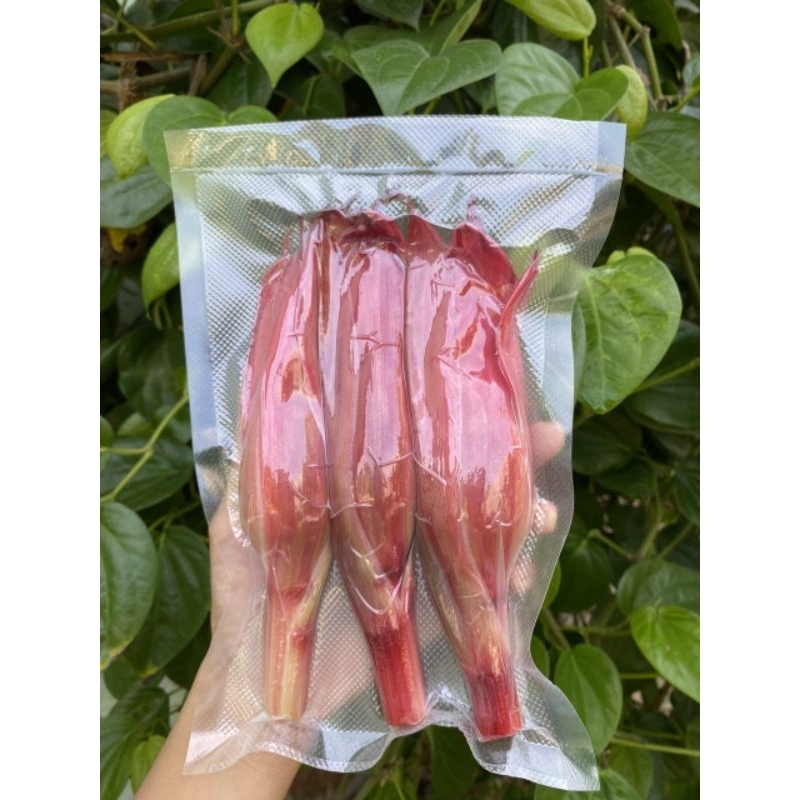 

Paket Kecombrang merah segar kuncup kemasan vacum