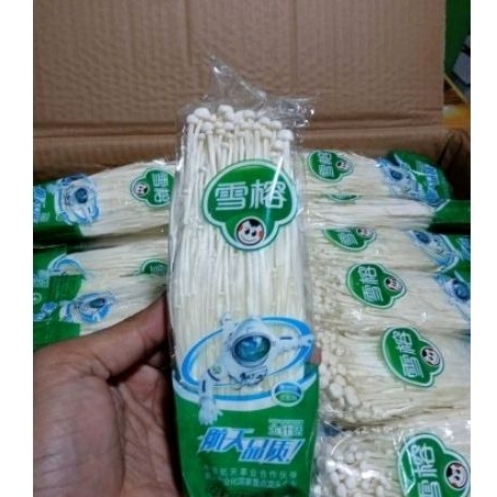 

jamur enoki
