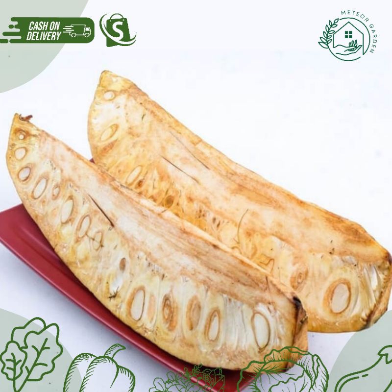 

SAYUR TEWEL / NANGKA MUDA