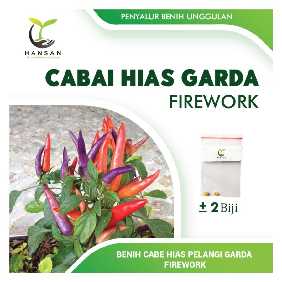 2 Bibit Cabe Hias Garda Firework Benih Tanaman Hias Cabai Pelangi