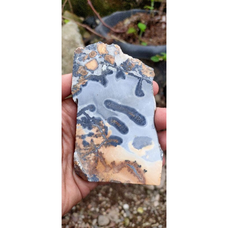 Batu Akik Motif - Akik Maligano ( Batu Akik Natural asli Sulawesi - bukan bacan obi fire opal kalima