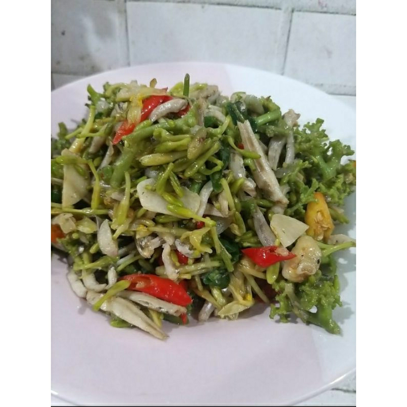 

oseng bunga pepaya teri