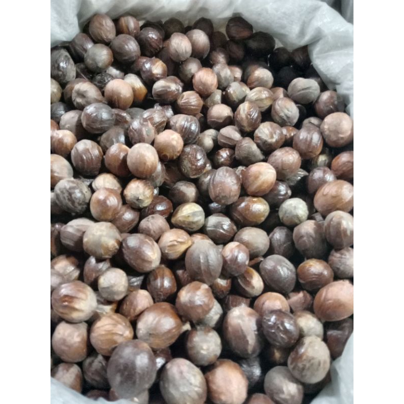 

Buah Pala Kilat Super