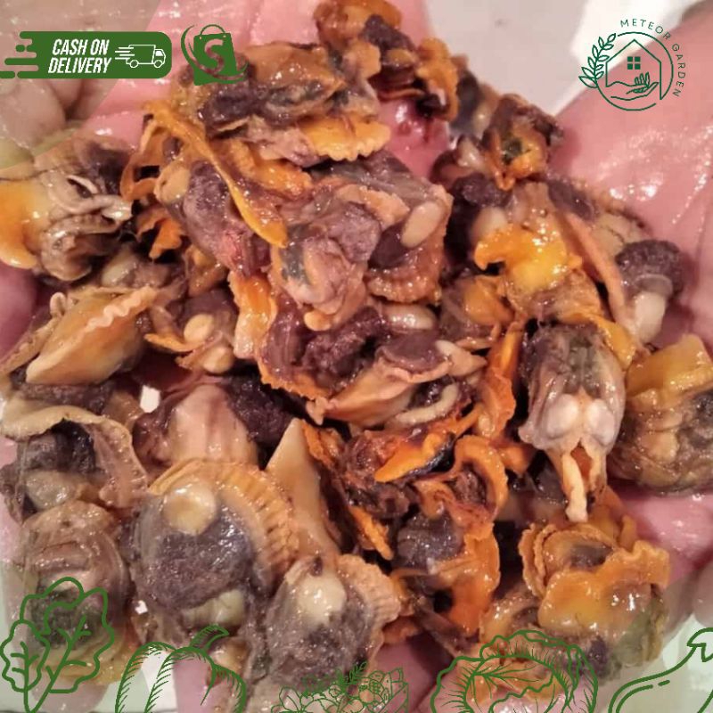 

KERANG DARA KUPAS (Berat 250gr)