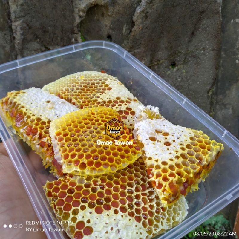 

[] Sarang Madu Randu Asli, Lebah Cerana