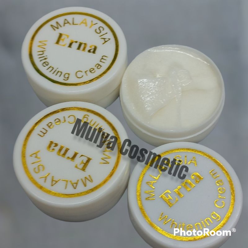 12 pcs CREAM ERNA PEMUTIH WAJAH SIANG MALAM