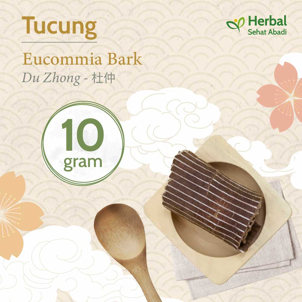 Du Zhong 10 gram  / Eucommia Bark / Tucung