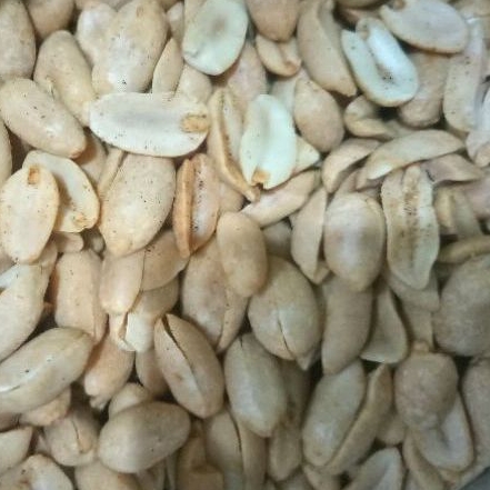 

KACANG BAWANG ASHOKA POUCH 250 GR