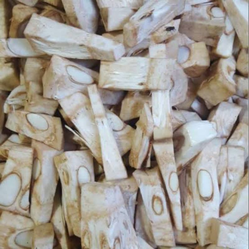 

NANGKA POTONG/NANGKA GULAI/NANGKA MUDA SAYUR