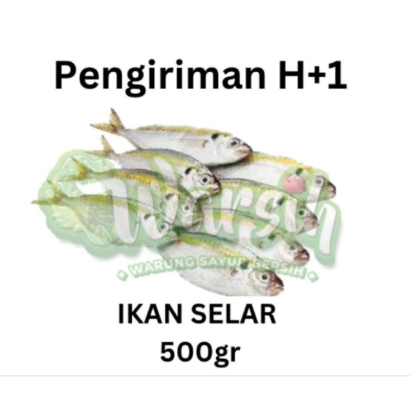 

WARSIH • IKAN SELAR SEGAR 500GR