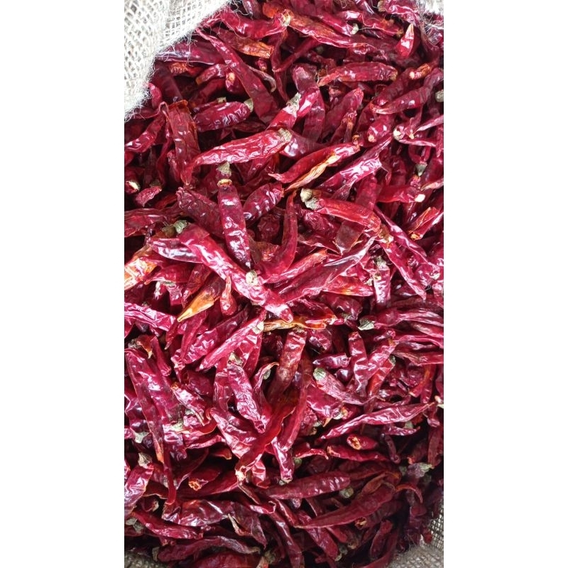 

Cabe Teja Kering | extra pedas | tanpa tangkai