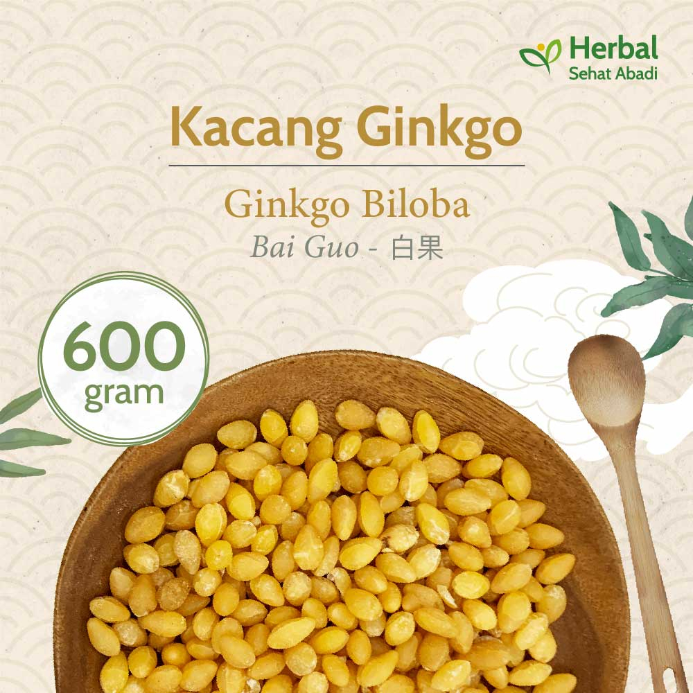 

Ginkgo Nut Mentah 600 gram / Bai Guo (白果) / Ginkgo Biloba / Ginko