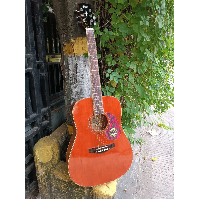 Gitar Akustik Cort Jumbo Tanbes Gitar akustik Murah