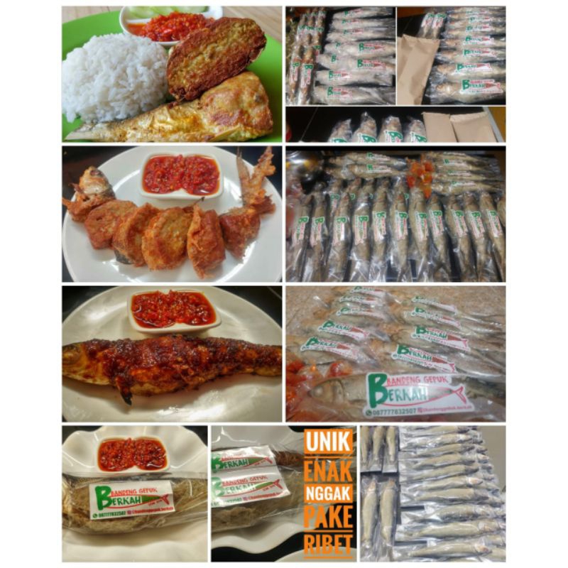 

BANDENG GEPUK LOSARI