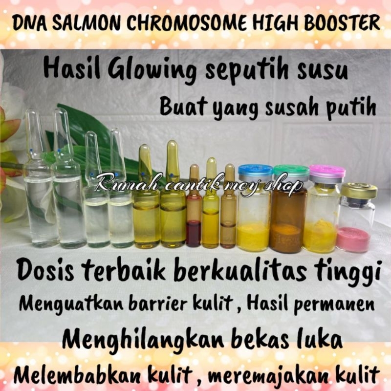 Dna salmon chromosome high booster whitening infus