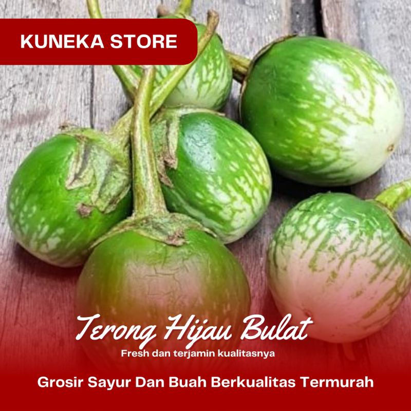 

TERONG HIJAU SEGAR BULAT LALAP FRESH TERMURAH TELARIS