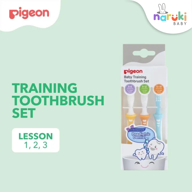 Pigeon Training Toothbrush Tooth Brush Lesson L123