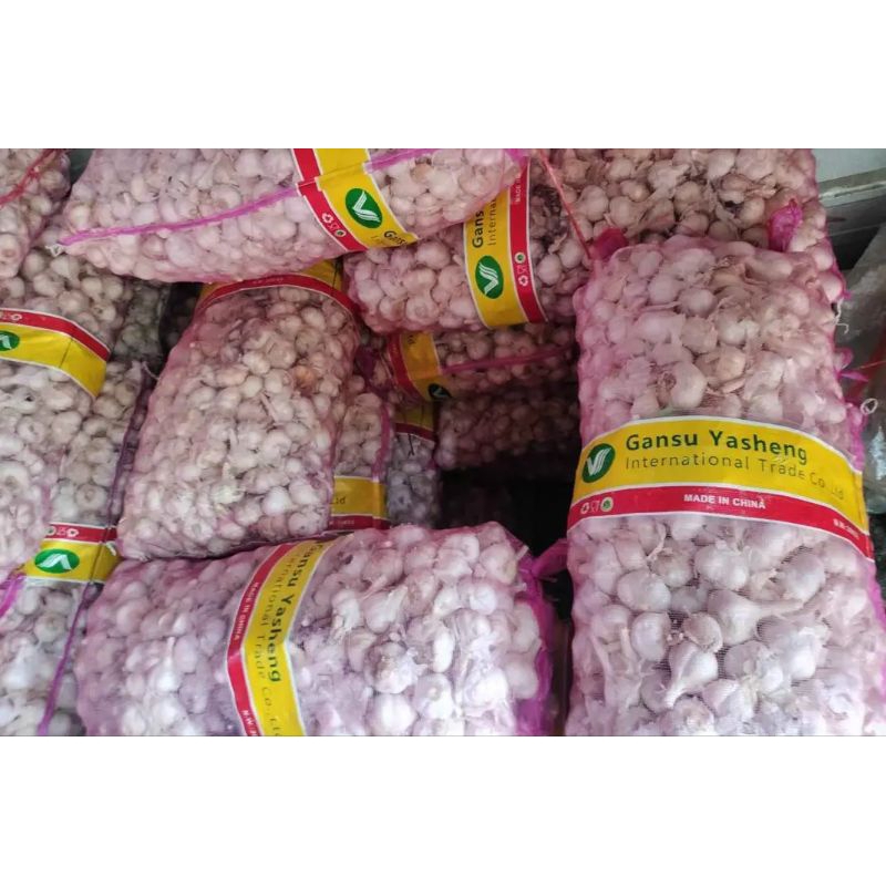 

Bawang Putih Kating 1kg