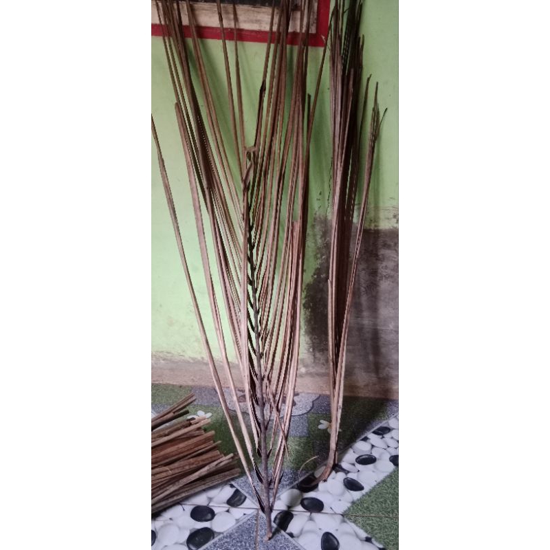 

daun kelapa kering/kelaras/ belarak. 1,5 kg