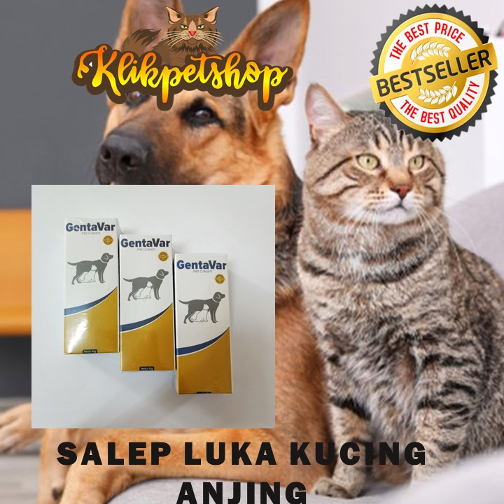 Gentavar 10gr Obat Luka Kucing Anjing Salep Cream, Salep Luka