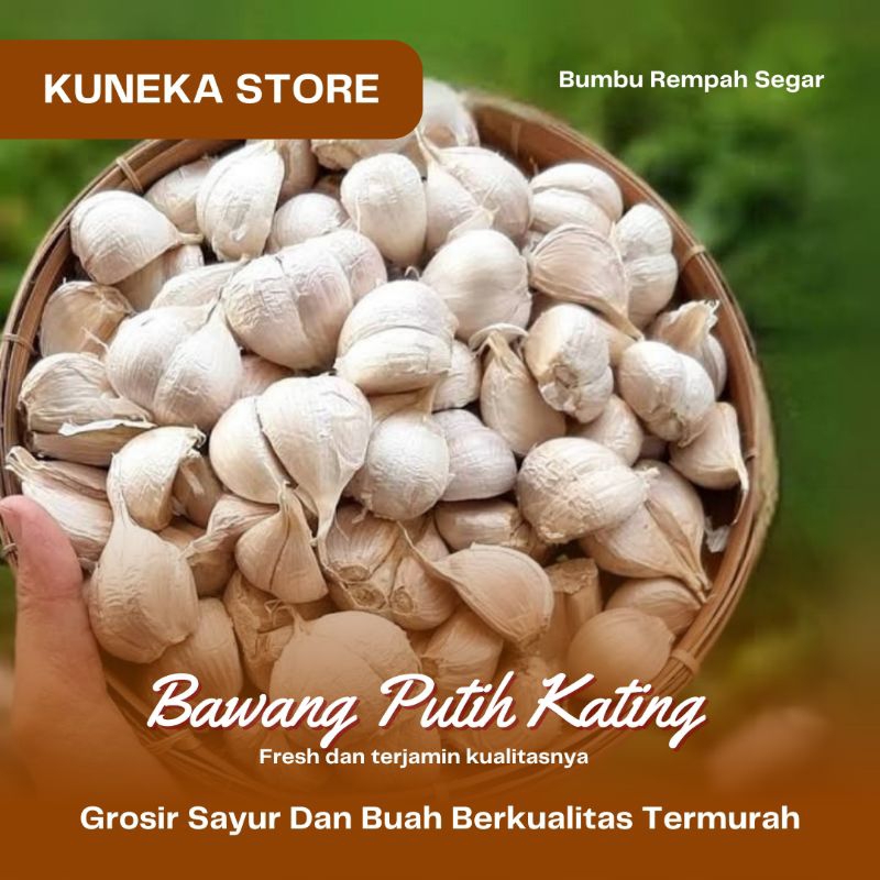 

BAWANG PUTIH KATING BERSIH KUALITAS PER PACK