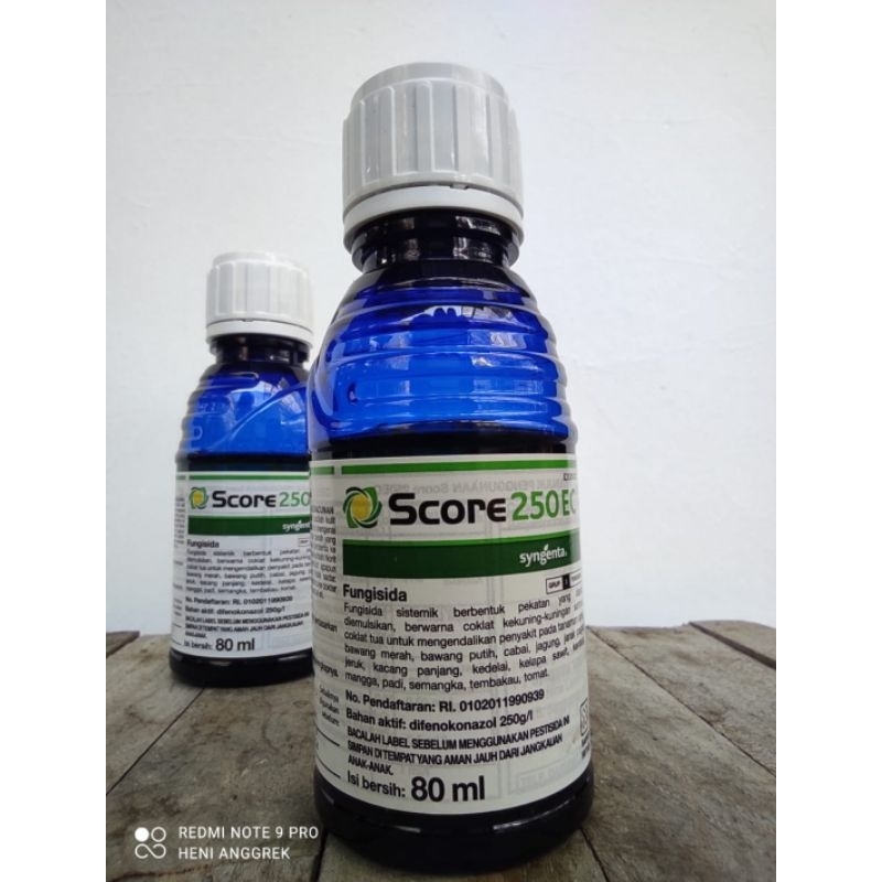 fungisida score