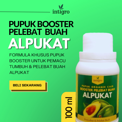 Pupuk Alpukat Booster 100 cc / Pupuk Pelebat Buah Alpukat / Pupuk Perangsang Buah Alpukat / Pupuk Bu