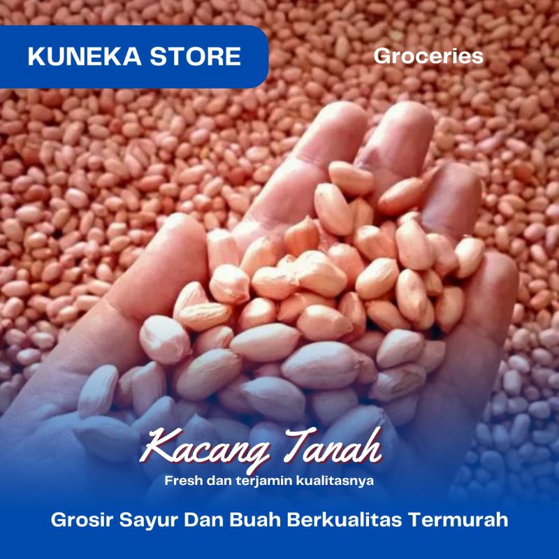 

KACANG TANAH MENTAH KUALITAS TERBAIK PROMO MURAH