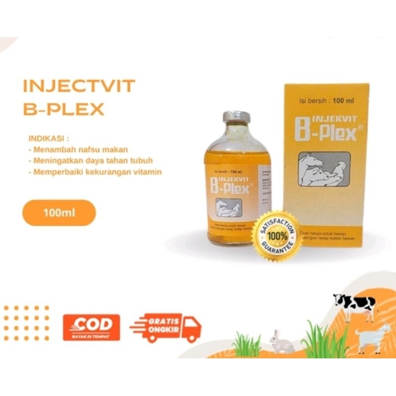 Vitamin B-kompleks hewan 100ML