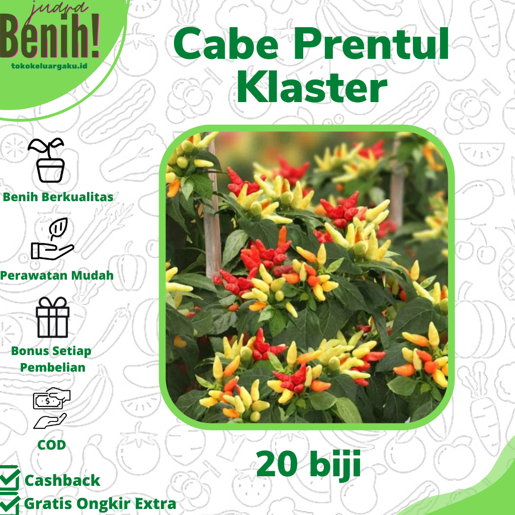 20 Benih Bibit Cabe Rawit Prentul Klaster Benih Cabai Rawit Merah Viral Super Buah Bergerombol Sayur