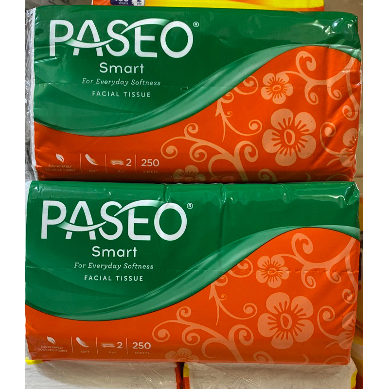 paseo 250 sheet