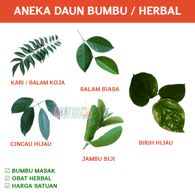 

Aneka Daun Obat Herbal Per Lembar Bumbu Masak Salam Kari Koja Cincau Hijau Pupus Jambu Klutuk Terapi Kesehatan Tradisional Wanita