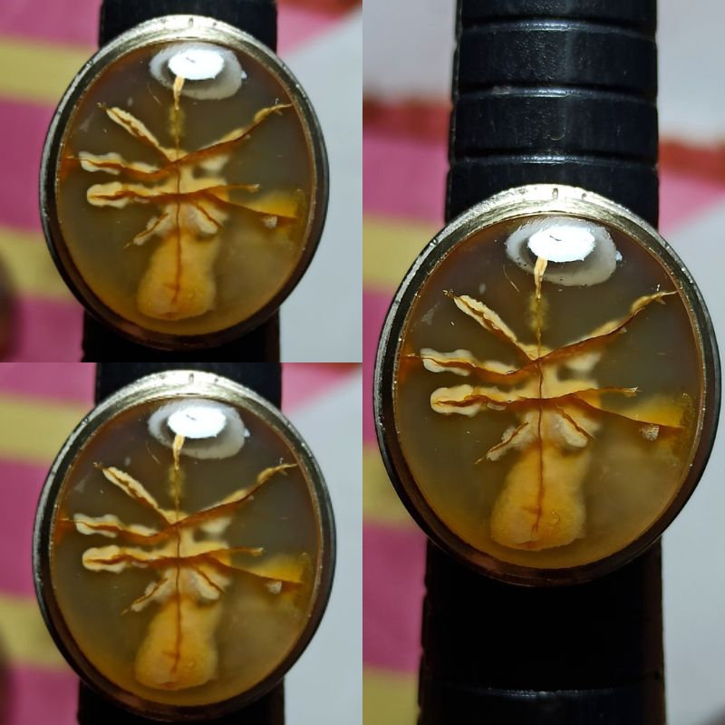 batu cincin akik unik