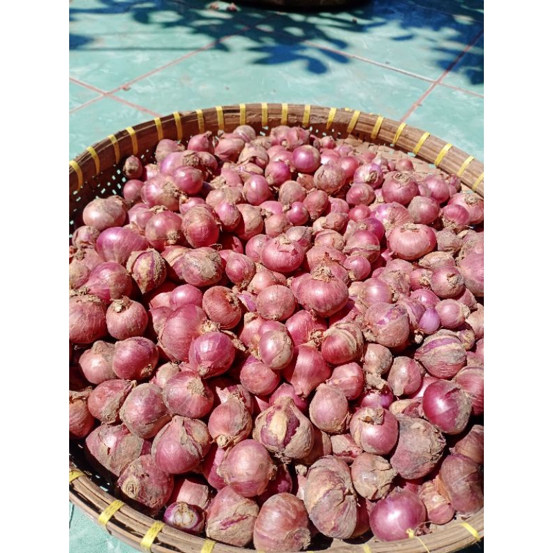 

Bawang Merah Superr (500gram)1kg,2kg