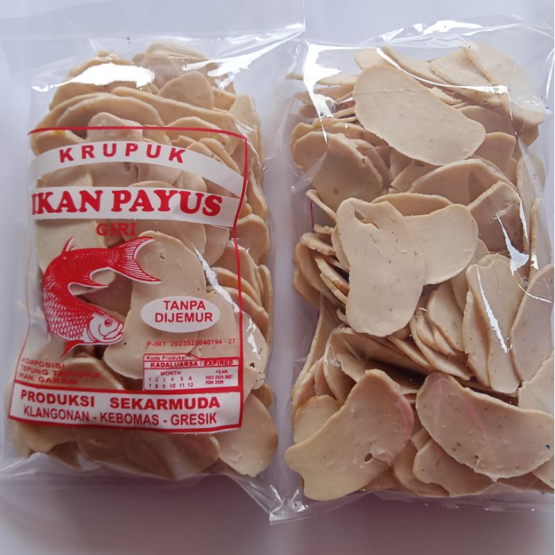 

Sekar muda kerupuk ikan payus ( bulat besar )