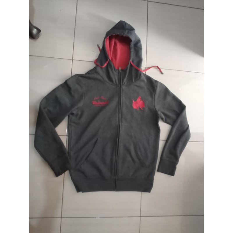 Hoodie Litmus Bordir